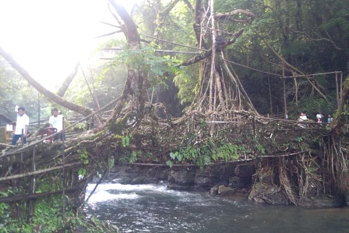 Exotic Meghalaya