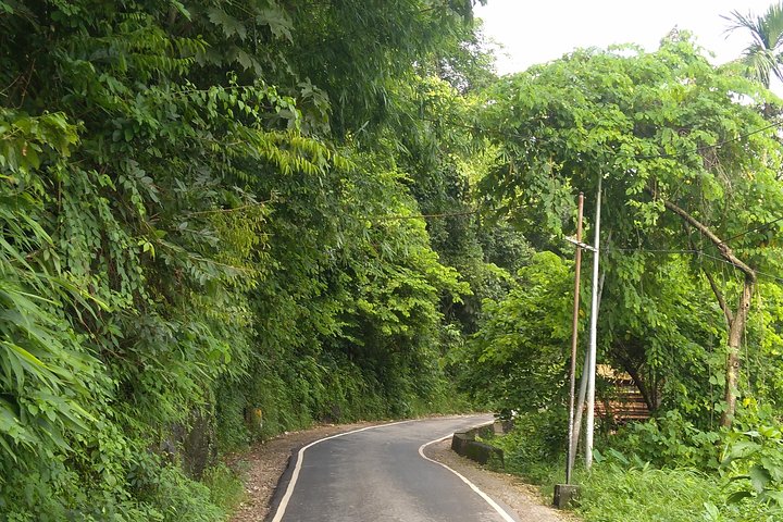 Exotic Meghalaya