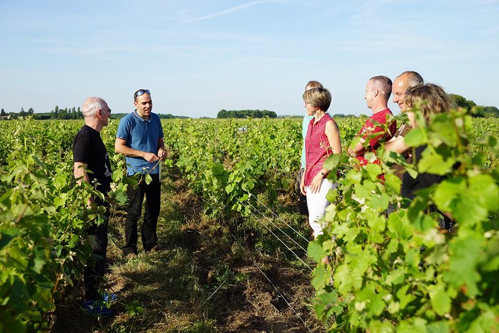 Morning - Loire Valley Wine Tour & Food Pairing, Vouvray