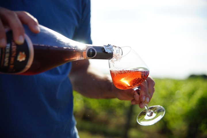 Morning - Loire Valley Wine Tour & Food Pairing, Vouvray