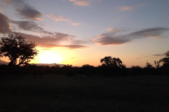 Kruger Park Safari: Guided Day Tour from Nelspruit