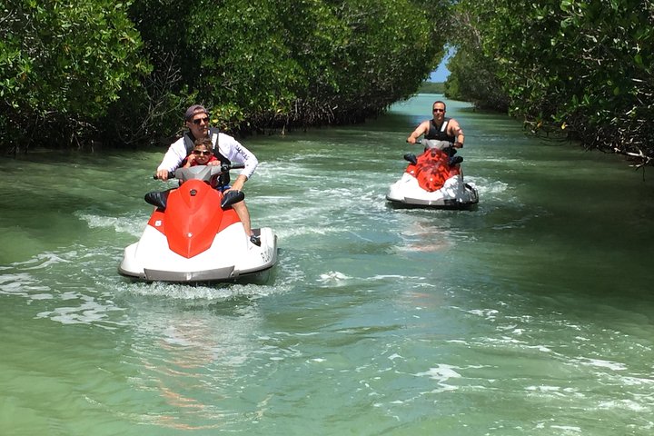 1.5 Hour (20 miles) Waverunner Tour. See Mangrove Tunnels, 20 Islands & SandBar