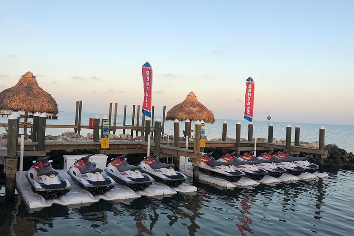 1.5 Hour (20 miles) Waverunner Tour. See Mangrove Tunnels, 20 Islands & SandBar