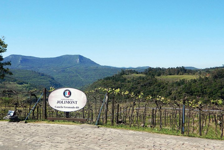 Jolimont Winery Tour - Visitation and Tasting - Canela RS