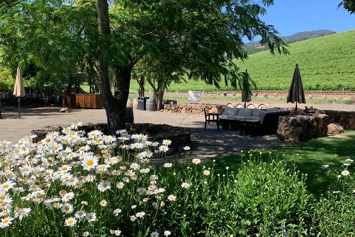 Sonoma and Napa 6hr-8hr- Private Wine Tour with Concierge Service