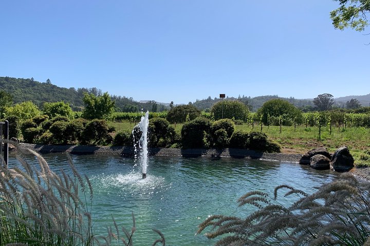 Sonoma and Napa 6hr-8hr- Private Wine Tour with Concierge Service