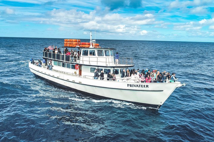 San Diego Whale Watching & Dolphin Cruise
