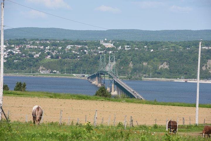 Half-Day Trip to Montmorency Falls and Ste-Anne-de-Beaupré from Quebec city