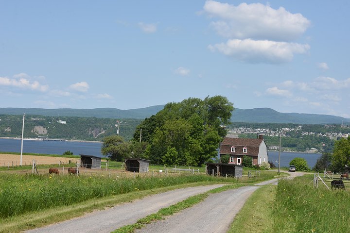 Half-Day Trip to Montmorency Falls and Ste-Anne-de-Beaupré from Quebec city