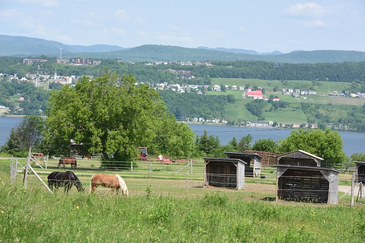 Half-Day Trip to Montmorency Falls and Ste-Anne-de-Beaupré from Quebec city