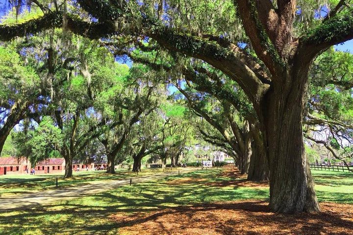 Boone Hall Plantation All-Access Admission Ticket