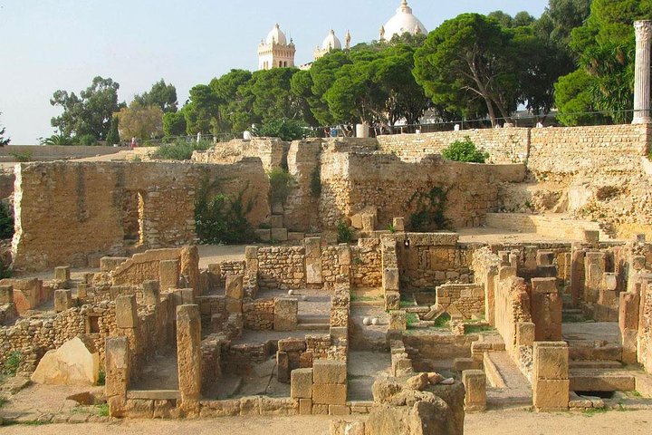 Archaelogical Site Of Carthage + Picturesque Village Of Sidi Bou Said