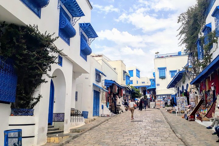 Archaelogical Site Of Carthage + Picturesque Village Of Sidi Bou Said