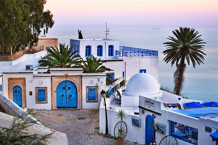 Archaelogical Site Of Carthage + Picturesque Village Of Sidi Bou Said