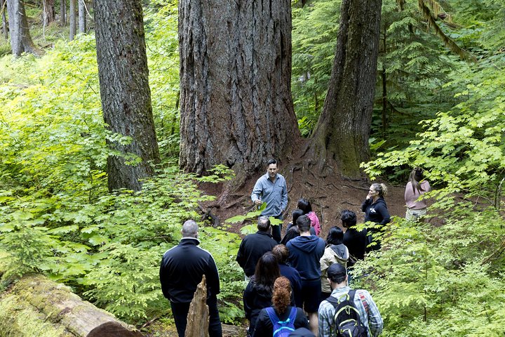Mt. Rainier National Park Highlights Tour