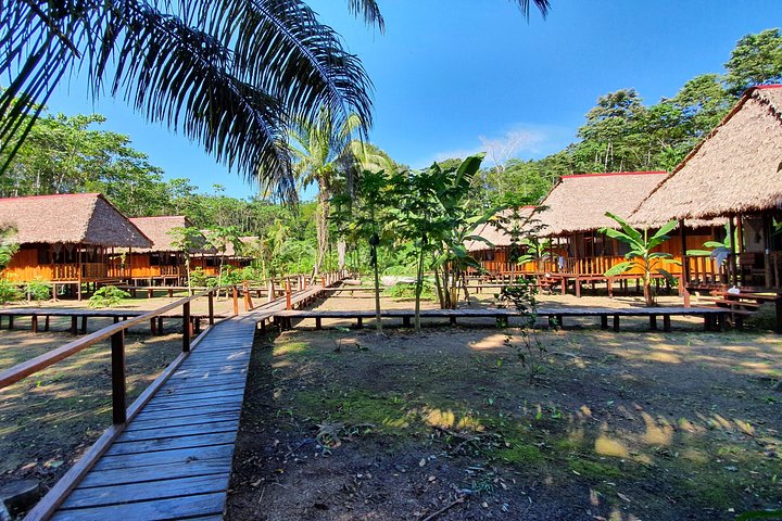 Best of Tambopata 2 nights by JunglePro