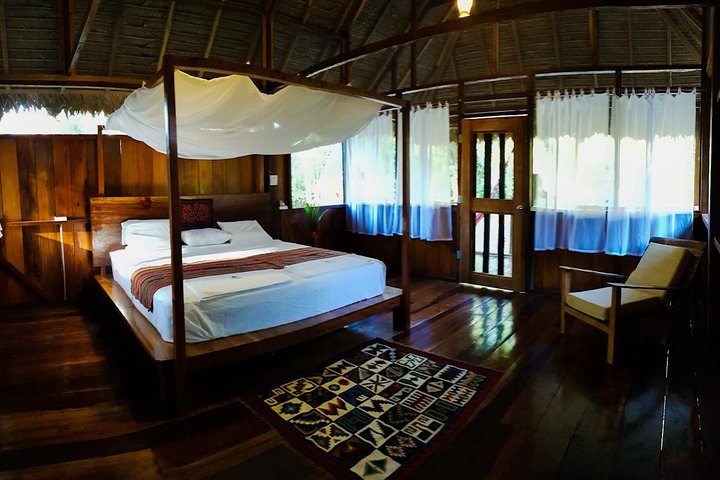Best of Tambopata 2 nights by JunglePro