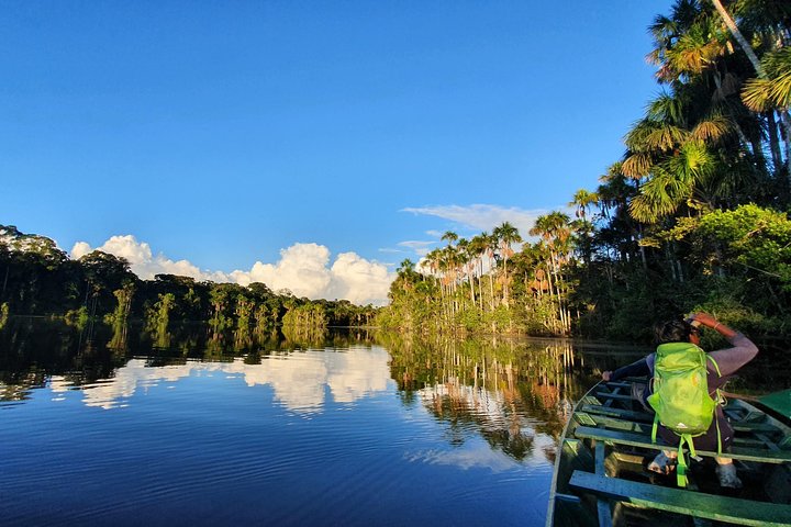Best of Tambopata 2 nights by JunglePro