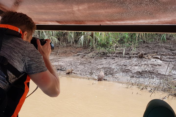 Best of Tambopata 2 nights by JunglePro