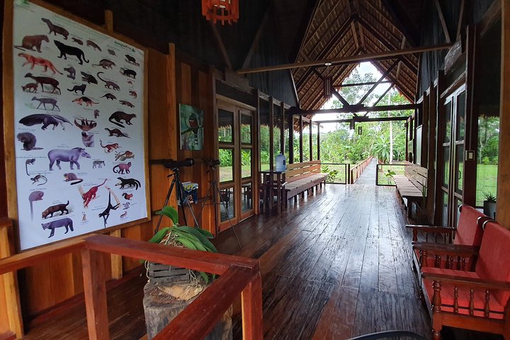 Best of Tambopata 2 nights by JunglePro