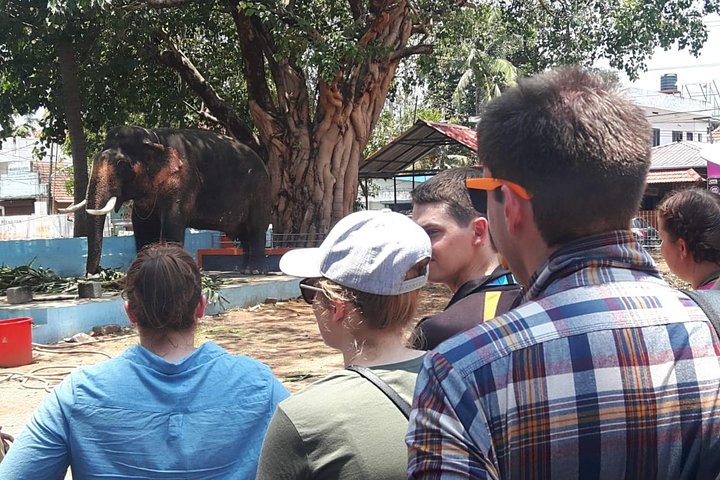 Kochi city Tour - A private guided tour in kochi with hotel up !