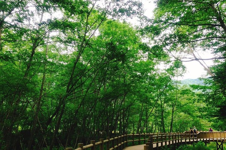 Kamikochi Mountain Day Trip from Tokyo