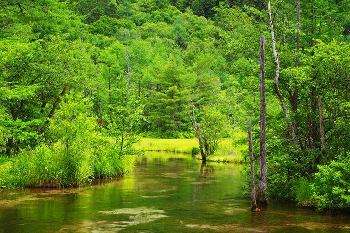 Kamikochi Mountain Day Trip from Tokyo