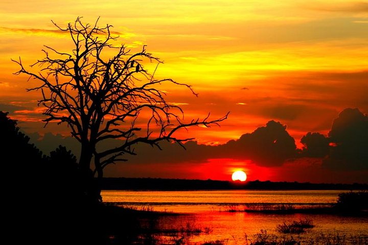 Sunset Cruise on Chobe River with Hotel Pickup from Kasane