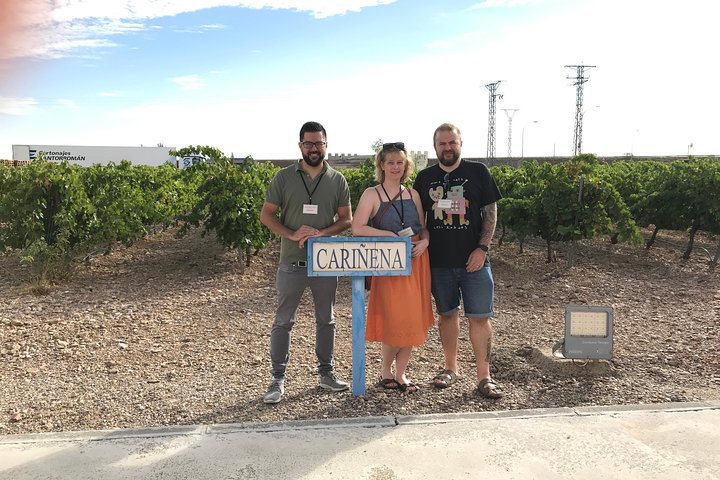 Haft-day Winery tour from Zaragoza