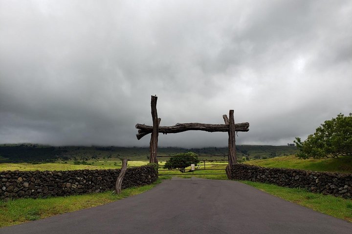 Small-Group Road to Hana Adventure Tour with Pickup & Lunch
