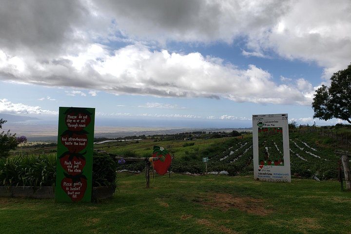 Maui Tour : Road to Hana Day Trip from Lahaina with Pick-up