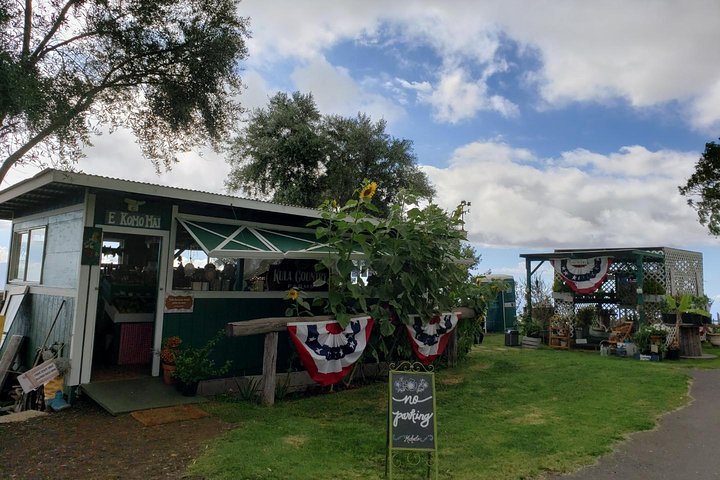 Maui Tour : Road to Hana Day Trip from Lahaina with Pick-up