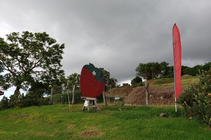 Maui Tour : Road to Hana Day Trip from Lahaina with Pick-up