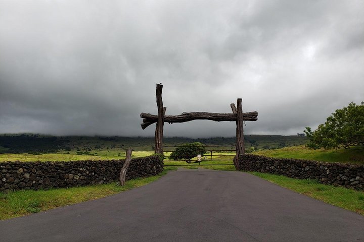 Maui Tour : Road to Hana Day Trip from Lahaina with Pick-up