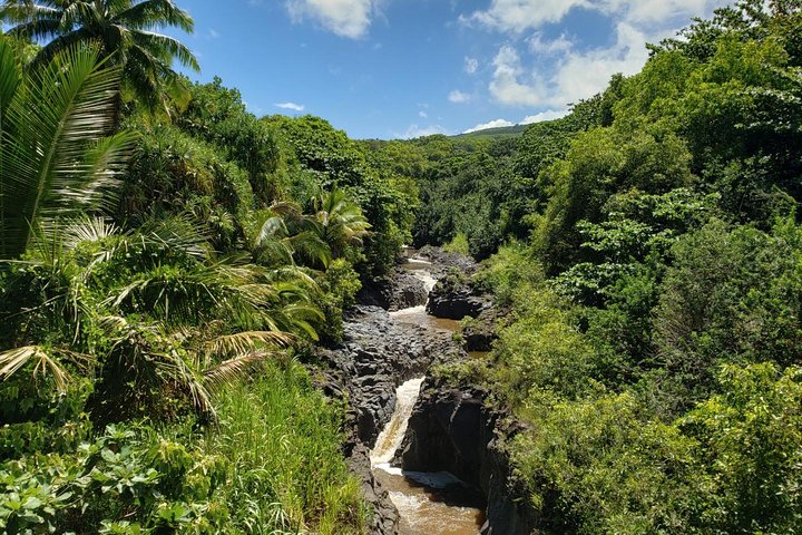 Maui Tour : Road to Hana Day Trip from Lahaina with Pick-up