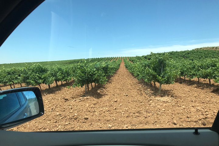 Haft-day Winery tour from Zaragoza
