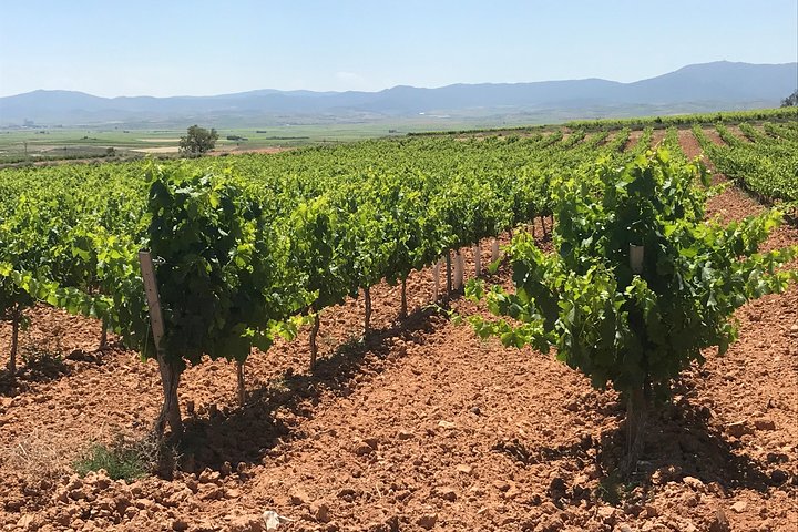 Haft-day Winery tour from Zaragoza