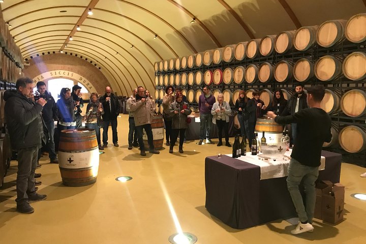 Haft-day Winery tour from Zaragoza