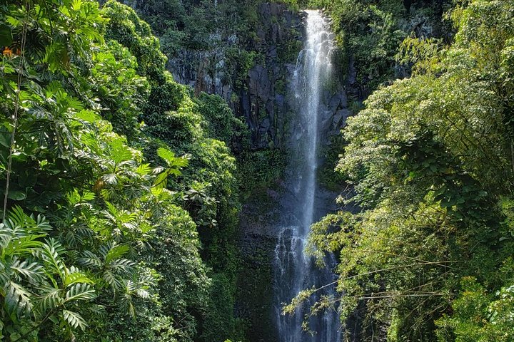 Road to Hana: Full-Day Scenic Drive with Blacksand & Waterfalls