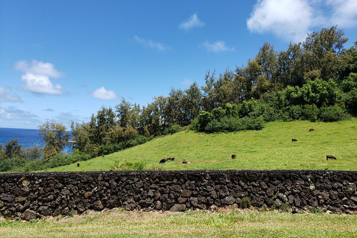 Road to Hana: Full-Day Scenic Drive with Blacksand & Waterfalls