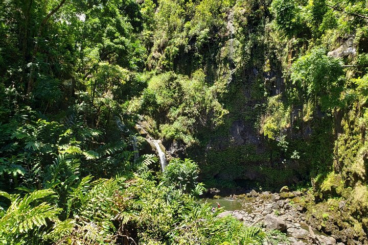 Small-Group Road to Hana Adventure Tour with Pickup & Lunch