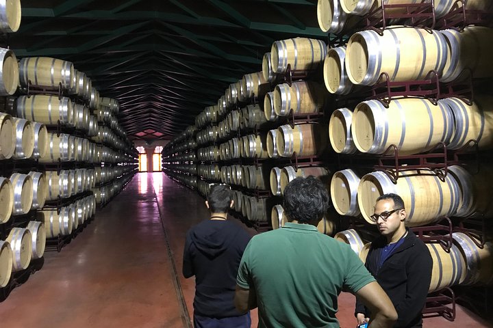 Haft-day Winery tour from Zaragoza
