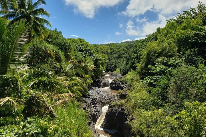 Small-Group Road to Hana Adventure Tour with Pickup & Lunch