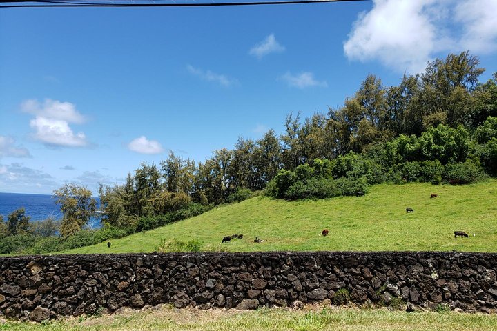 Small-Group Road to Hana Adventure Tour with Pickup & Lunch