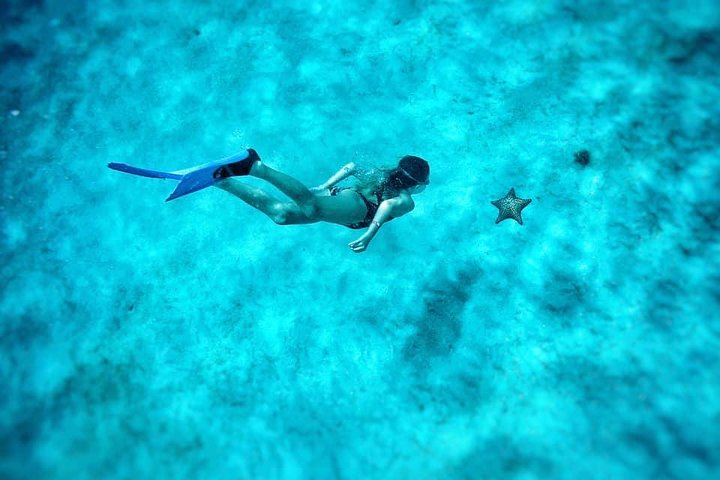 5-Hour Small-Group Catamaran Cruise from Bridgetown with Lunch