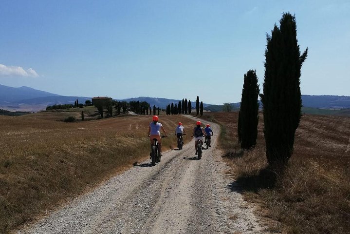 Wine Tour Ebike Experience