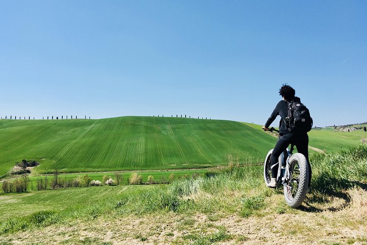 Wine Tour Ebike Experience