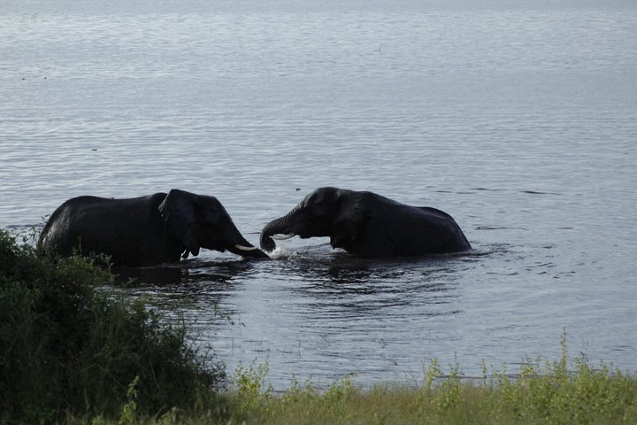 Kanzwa short holiday break -2 Nights Safari Kafue National Park