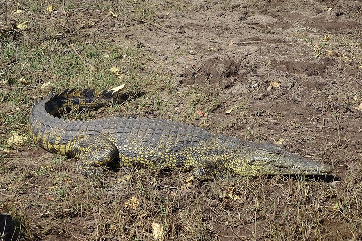 Kanzwa short holiday break -2 Nights Safari Kafue National Park