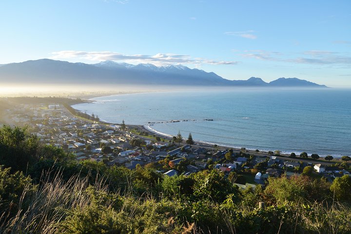 Whale Watching in Kaikoura by Boat
